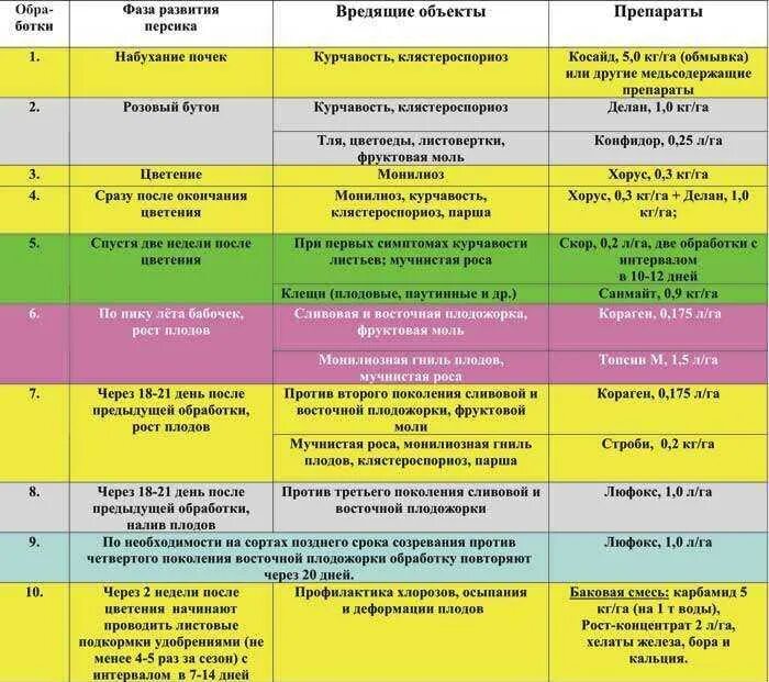 Чем опрыскать вишню после цветения. Схема обработки плодовых деревьев от болезней. Схема обработки персика от вредителей. Таблица обработки персика от болезней и вредителей. Схема обработки яблонь от болезней и вредителей.