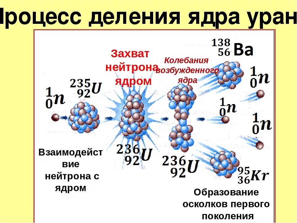 Схема деления ядер урана 235. Процесс деления ядра урана схема. Схема реакции деления урана 235. Механизм деления ядра.