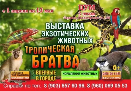 Выставка экзотических животных
