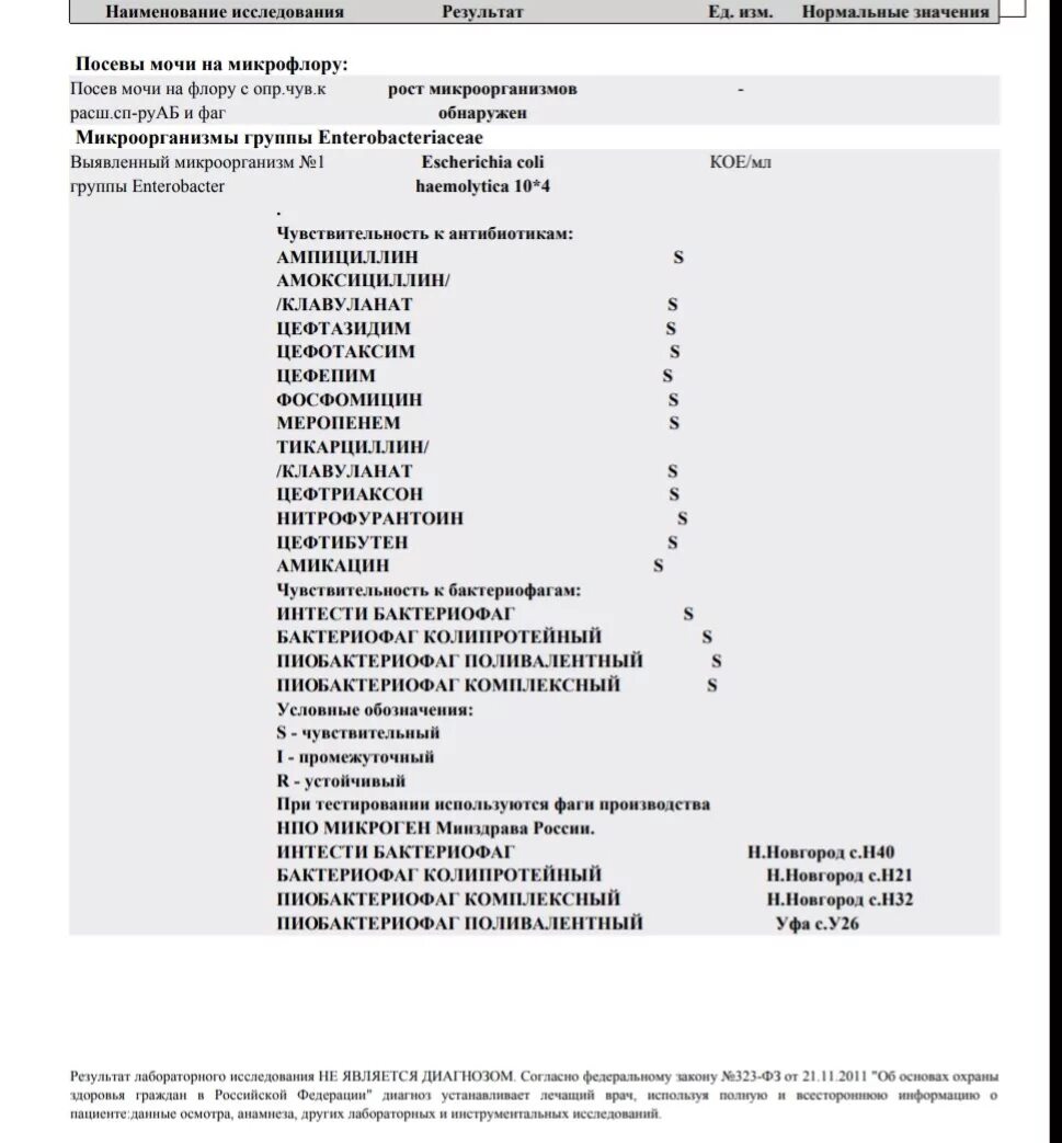 Escherichia coli что это у мужчин. Бак посев мочи Escherichia coli 10 4. Норма микроорганизмов Escherichia coli. Бак посев мочи Escherichia coli 10 7 кое/мл. Нормы Escherichia coli 10 4.