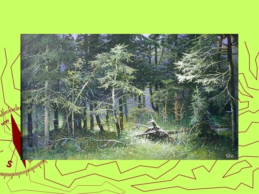 Рисунок как я представляю себе тайгу. География 8 тайга это. рисунок тайги география. образ тайги с географическими терминами. тайга иллюстрация для географии.