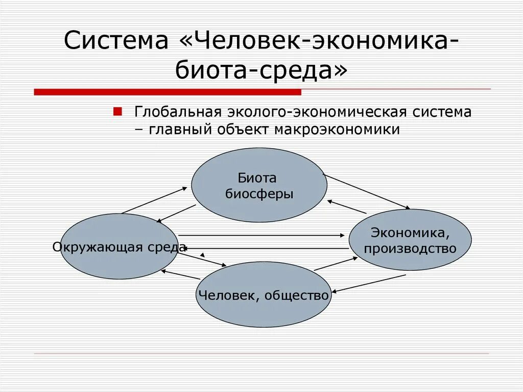 Природа человека в экономике