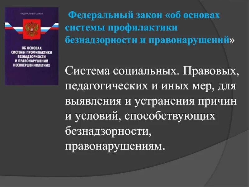 Закон о безнадзорности и правонарушений несовершеннолетних. Профилактика правонарушений и преступлений. Профилактика безнадзорности и правонарушений. Профилактика правонарушений и преступлений несовершеннолетних. По профилактике безнадзорности и правонарушений несовершеннолетних.