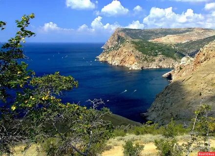 Лето в крыму
