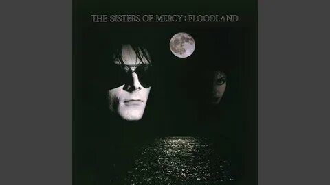 Sisters of mercy lucretia my