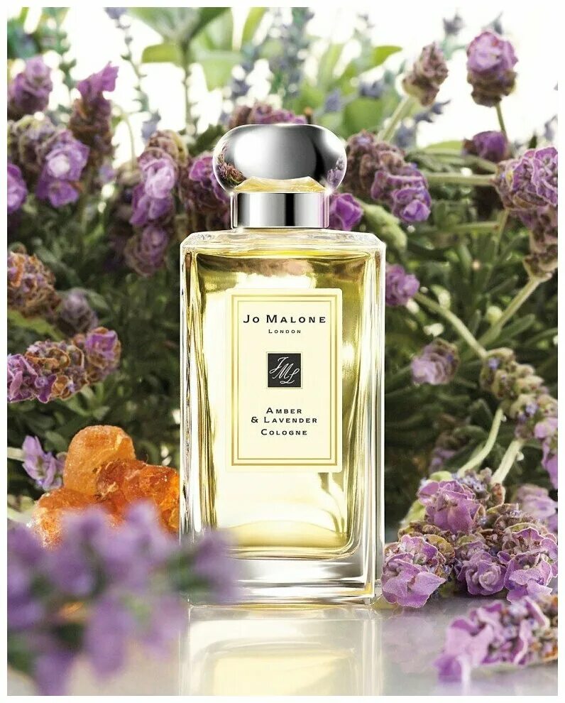 лавандовые духи. лаванда прованс эфирное масло. лаванда в парфюмерии. эфирное масло лаванды. эфирное масло лаванды крым.