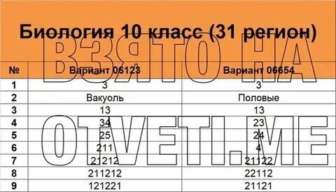 Рдр по математике 11 класс 2024