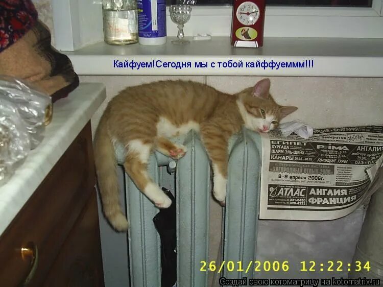 картинка мы кайфуем. человек кайфует. кайфую я с тобой кайфую. кайфуем мы с тобой кайфуем. кайфуем мы с тобой кайфуем.