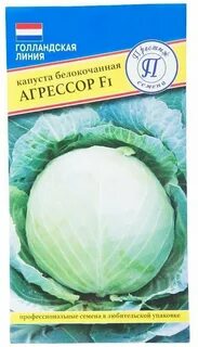 Агрессор описание
