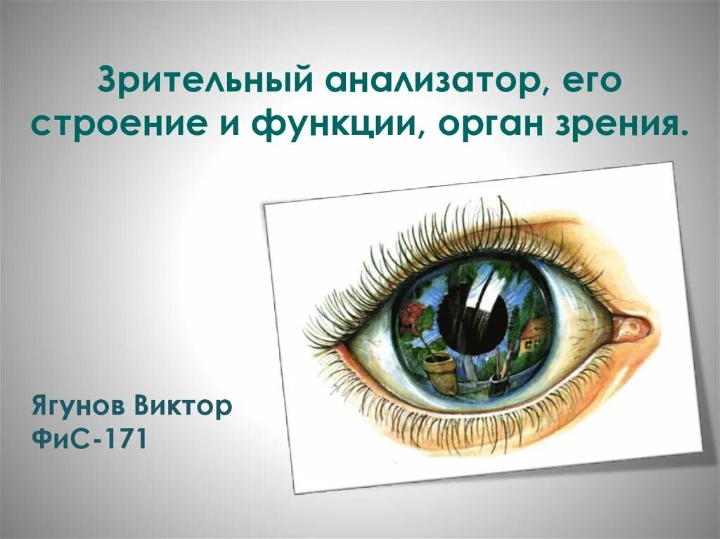 Зрительная работа