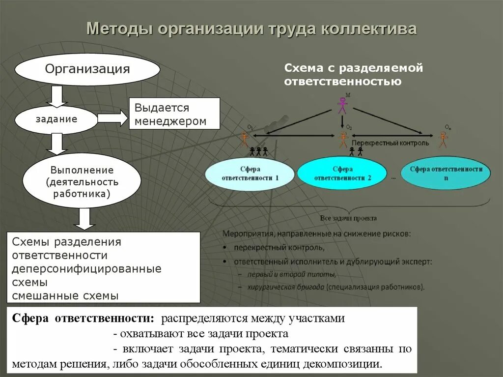 Организация деятельности и управления коллективом