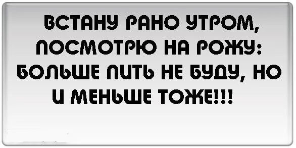 Утро с бодуна. Смешные фразы про похмелье. Высказывания с картинками про похмелье. Открытка с добрым утром с похмелья прикольные. Доброе утро с похмелья картинки.