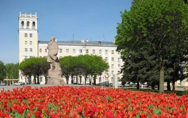 Городские цветы смоленск. Городские цветы смоленск. Вазоны с цветами на городских улицах. 11/9. Цветник к 9 мая.