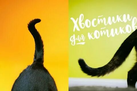 Говорящий хвост