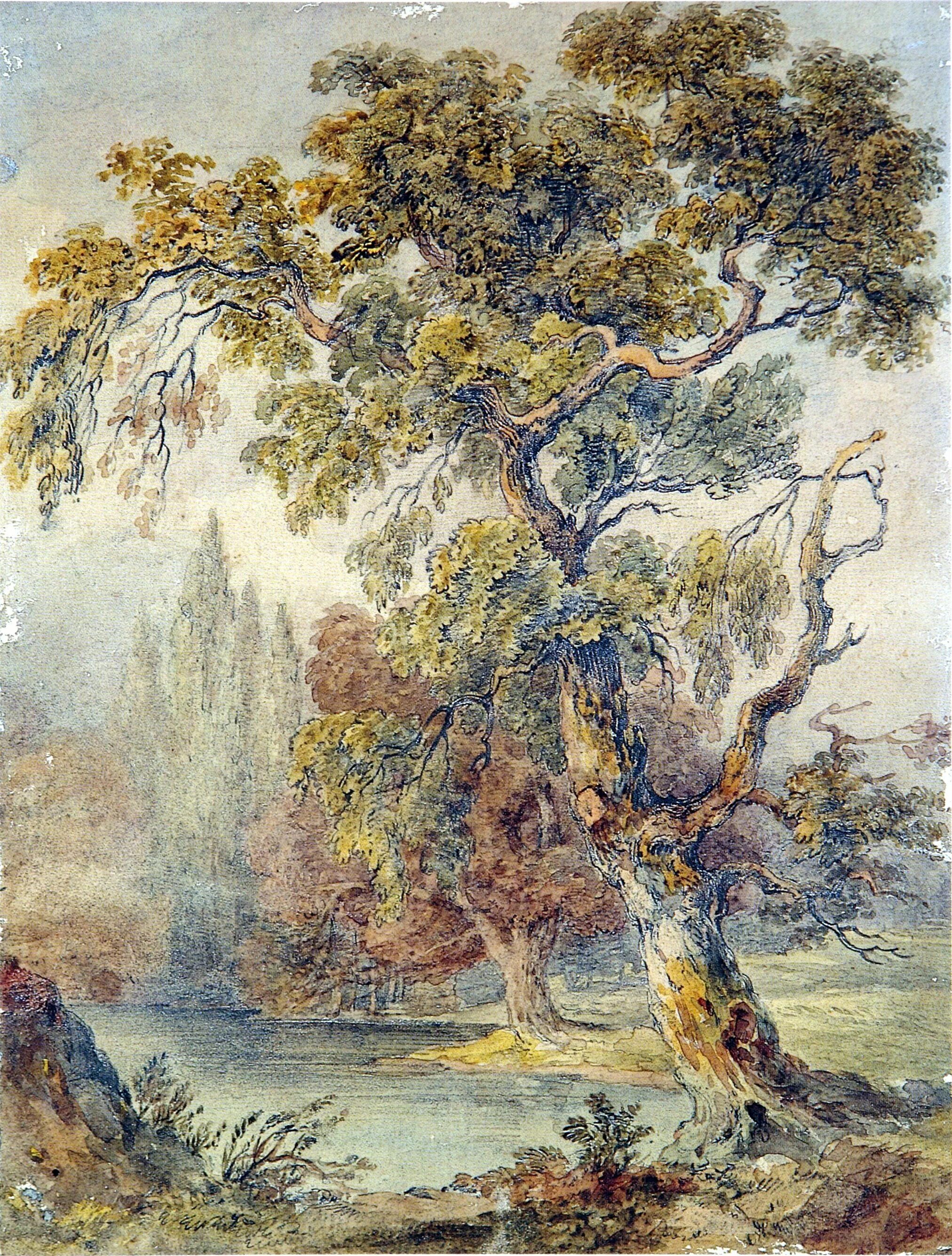 John tree. Джон рёскин картины. джон рёскин (john ruskin). рескин художник. джон раскин художник.