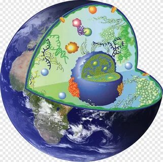 Фигура планеты земля