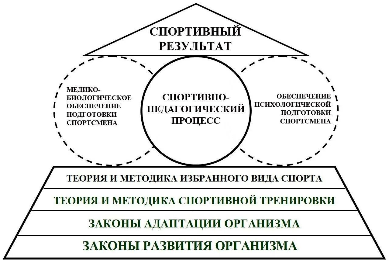 Схема тренировочного процесса. Методы психологической подготовки спортсменов. Структура психологической подготовленности спортсмена. Спортивная деятельность схема.