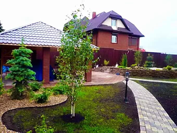 Плюсы участка. Ландшафт участка. Хвойники в лесном ландшафте. Обустройство приусадебного участка. Озеленение дачного участка.