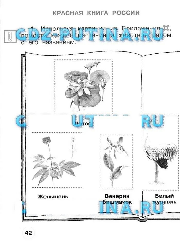 Плешаков окружающий мир рабочая тетрадь страница 42