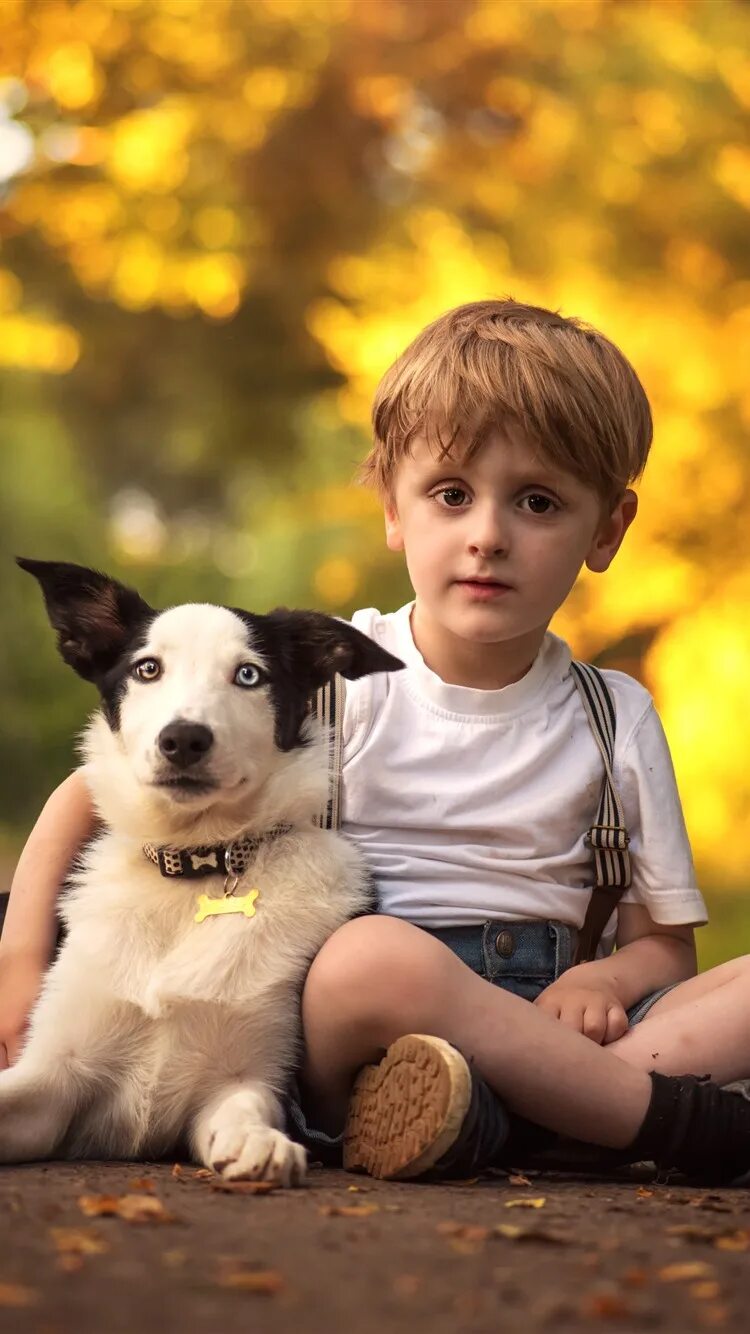 Бордер-колли. Бордер колли мальчик. Мальчик с собакой фотосессия. Щенок мальчик. Папа мальчика собака