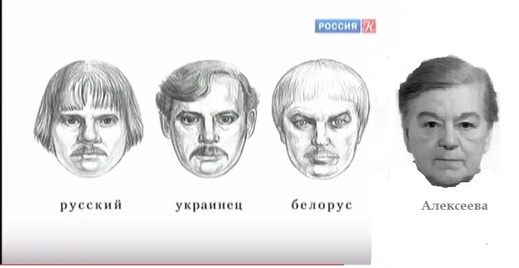 Как отличить русского. Славянская раса фенотип. Среднестатистический портрет. Антропологический портрет. Типы внешности украинцев.