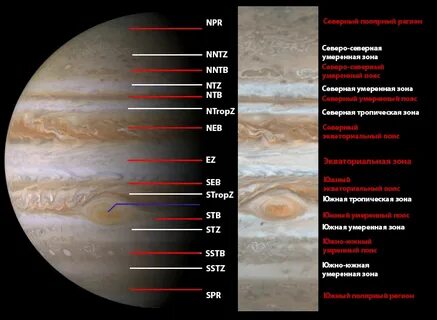 Зона юпитера
