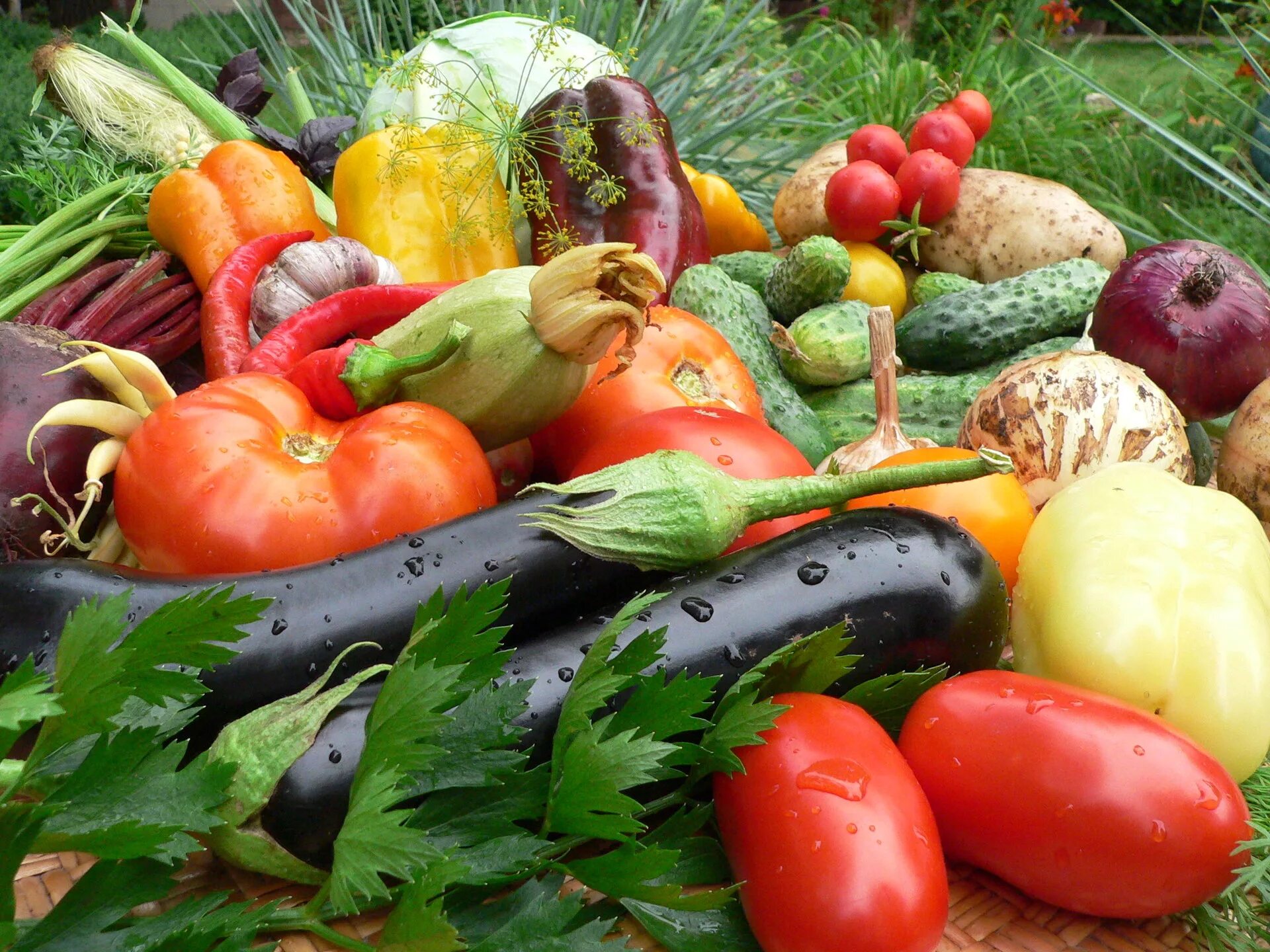 овощи и фрукты. природный урожай. дары осени. осенний огород. природный урожай.
