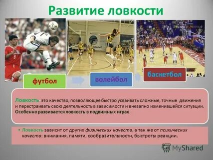 Спорт виды и качества