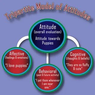 Social attitudes