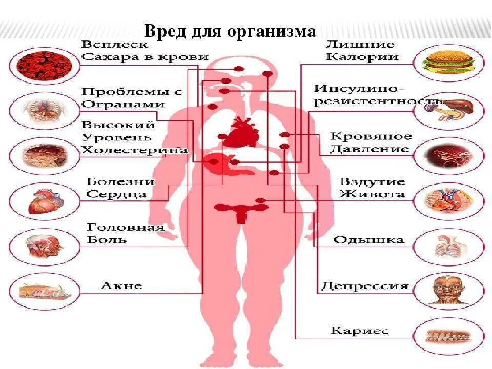 Насколько вредно для организма. Влияние вредной пищи на организм. Чем вредно сладкое для организма. Вред сахара. Влияние сахара на организм.