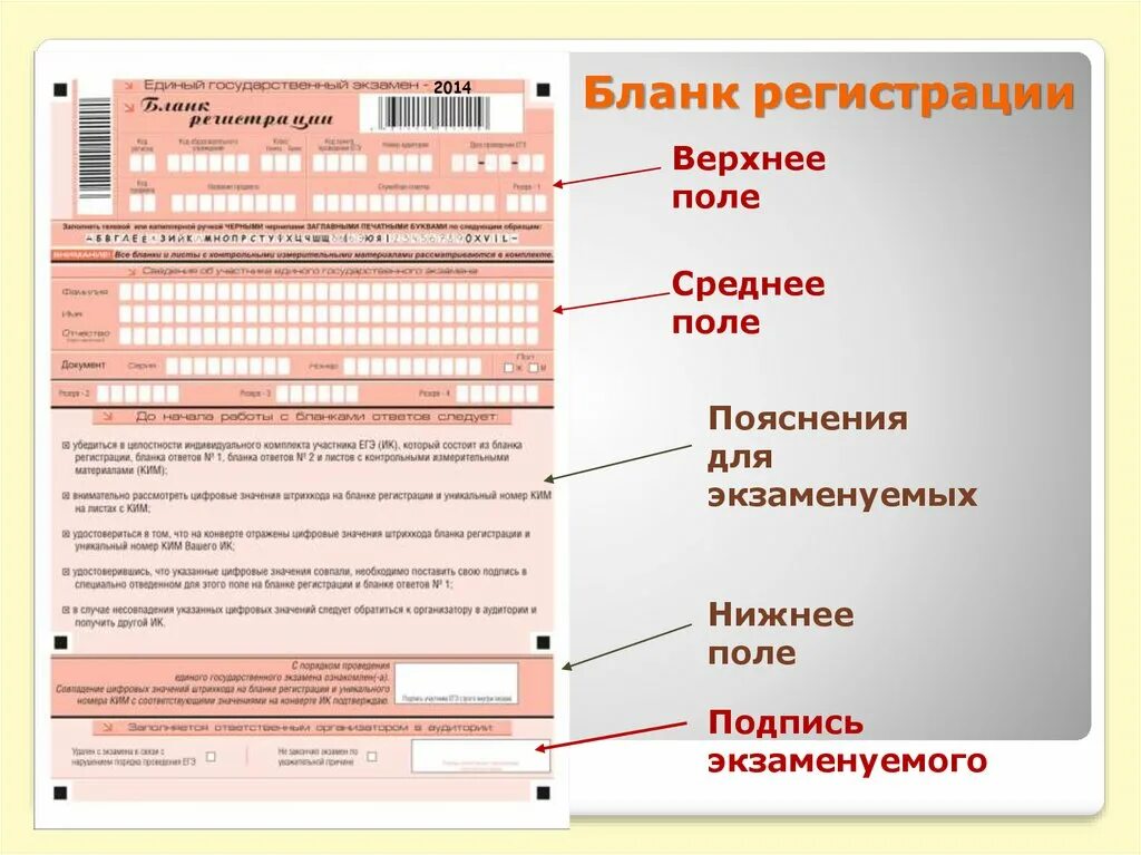 Как узнать код регистрации огэ. Бланк регистрации. бланк регистрации гиа. бланк регистрации егэ шаблон. бланк на первичную регистрацию.
