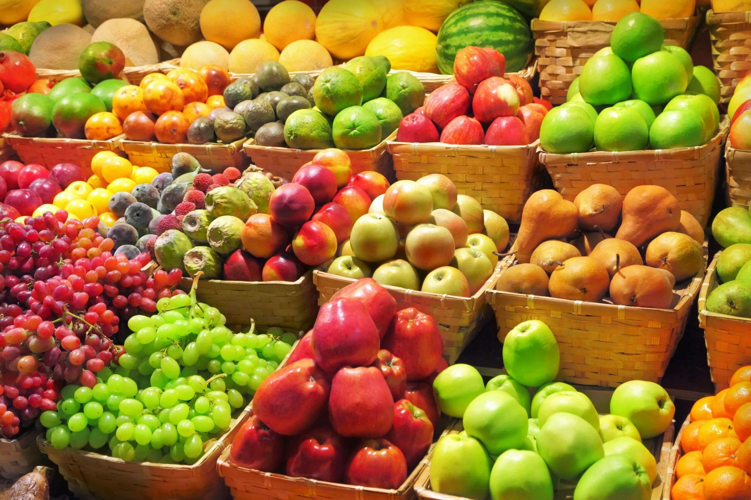 Купить овощи беларусь. Овощи и фрукты. Прилавок с фруктами. Ассортимент фруктов и овощей. Прилавок с овощами и фруктами.