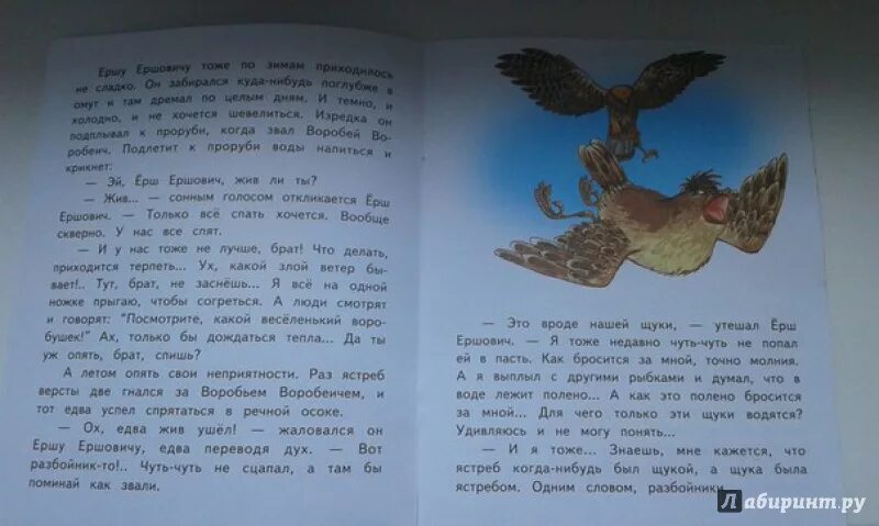 Как автор изображает воробья воробеича. Сказка Ерш Ершович и Воробей. Воробей Воробеич мамин Сибиряк. Аленушкины сказки Воробей Воробеич. Сказка про воробья Воробеича и ерша Ершовича.