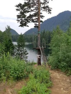 Погода в выдрино бурятия