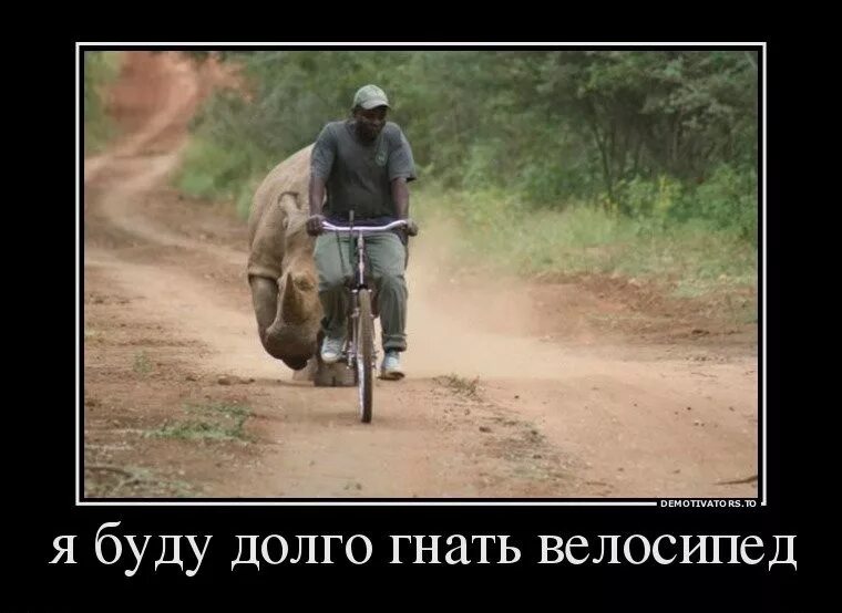 я буду долго гнать велосипед прикол. я буду долго гнать велосипед. я буду долго гнать велосипед юмор. я буду долго гнать прикол. я буду гнать велосипед прикол.