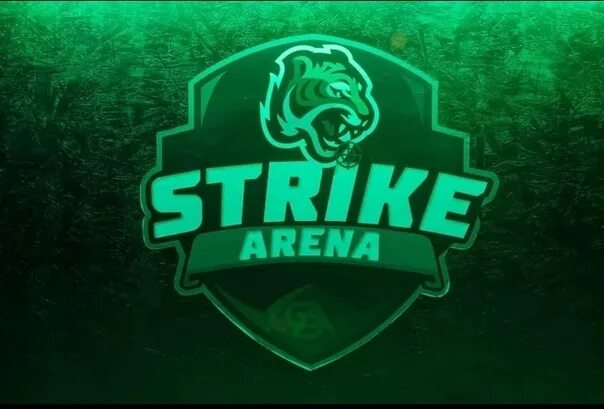 Страйк арена брянск. Strikearena уссурийск. Страйк арена компьютерный клуб. Клуб strike arena. Клуб strike arena.