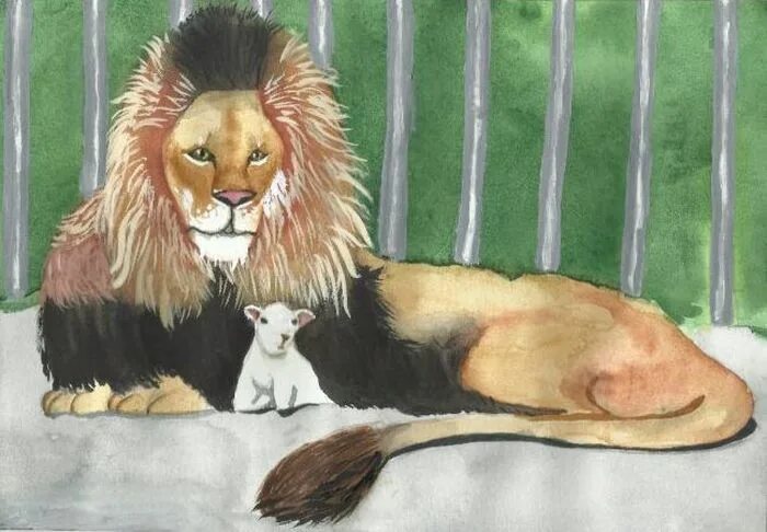 лев толстой рассказ лев и собака. нарисовать иллюстрацию к лев и собачка. лев и собачка толстой. лев толстой лев и собачка иллюстрации. иллюстрация к рассказу лев и собачка.