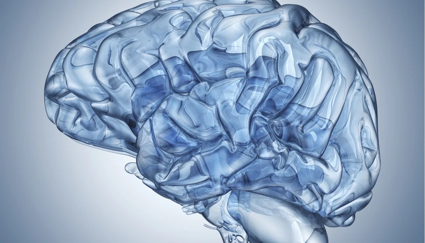 Мозг терапия инструкция. Мозг робота. Мозг из стекла. Позитронный мозг робота. Робот мозг Минимализм.