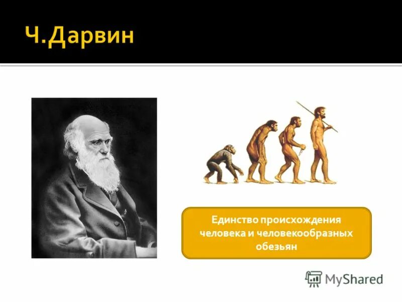 Утверждения теории дарвина. Эволюционная теория Чарльза Дарвина. Учение Чарльза Дарвина о эволюции человека.