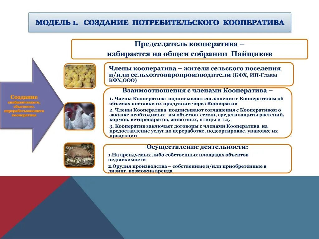 Потребительской кооперации потребительских обществах. Потребительский кооператив создание. Потребительский кооператив схема. Схема работы потребительского кооператива. Особенности регистрации потребительского кооператива.