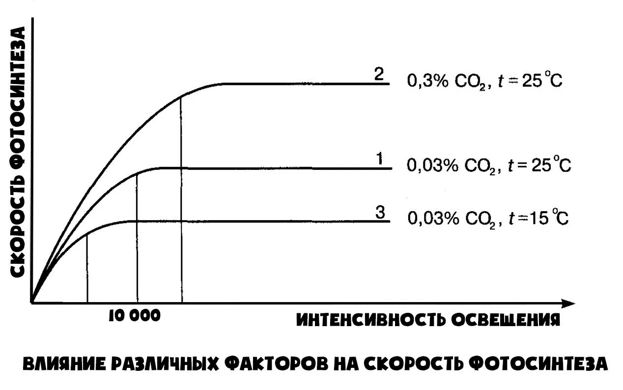 Свет как экологический фактор " Привет Студент!