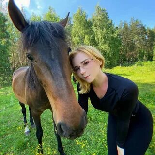 Сивити фокс