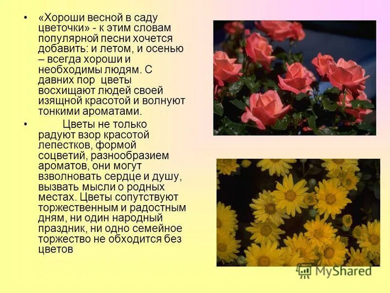 песня хороши весной в саду. хороши весной в саду цветочки ноты для хора. хороши весной в саду цветочки текст. песня хороши весной в саду. ветка сирени упала на грудь ноты для баяна.