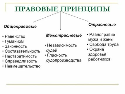 Отрасль 1 действие