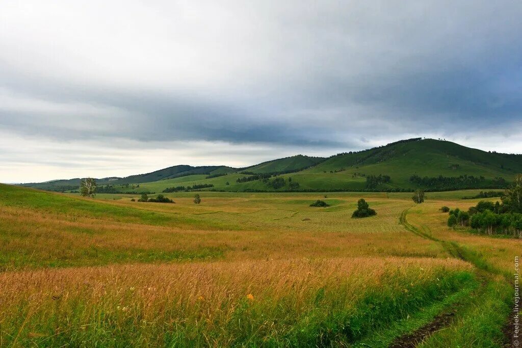 Красноярск краснодарского края. Холмы Красноярского края Шарыповский район. Холмистая равнина Алтайского края. Холмы Краснодарского края. На полях Шарыповского района.