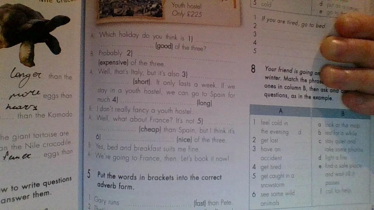 This is my friend wrote. Задание на Comparative adjectives 3 класс. Complete the names of the animals 5 класс ответы. Comparatives тест английский 10/10. Read and complete Letter 2 класс.