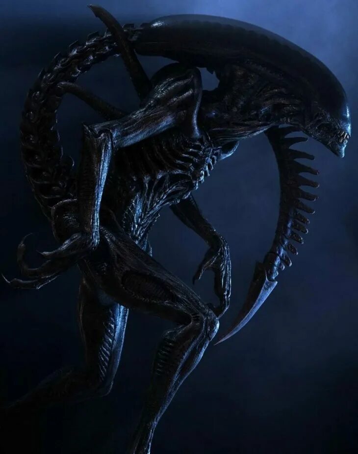 Alien Ксеноморф Xenomorph. Чужой 1979 Ксеноморф Гигера. Ксеноморфы что это