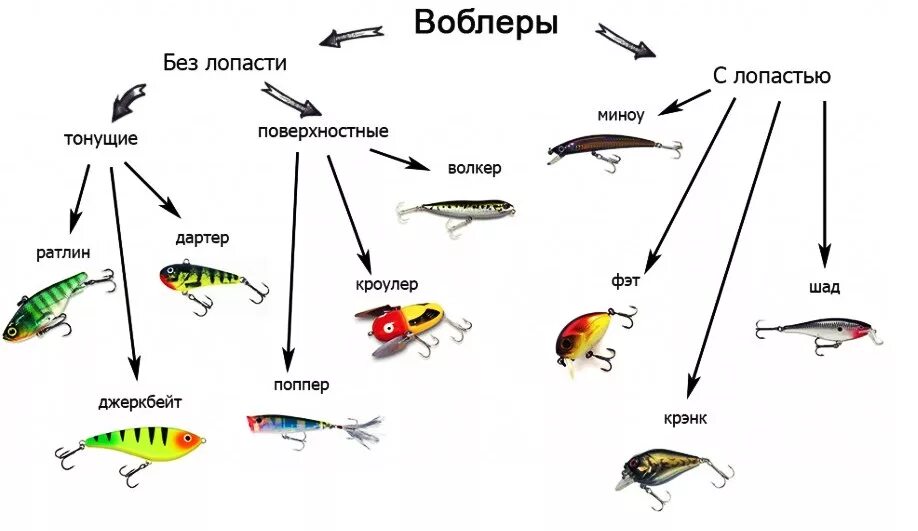 Таблица проводок для воблеров. Наживка для спиннинга виды и названия. Виды поверхностных приманок для спиннинга. Классификация блесен и воблеров. Лова на д