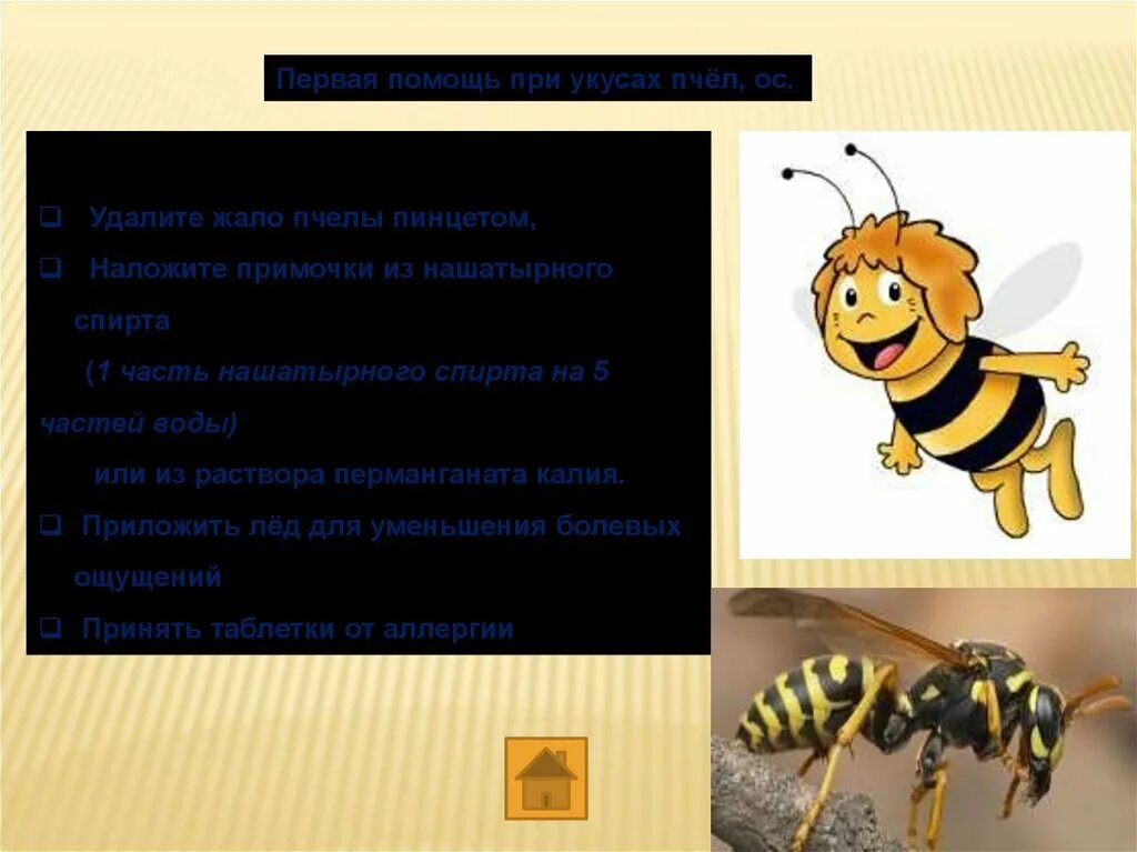 Тся и ться в глаголах примеры. Отличие пчел и ос. Жал щие пчелы студенты труд тся. Анекдот про пчеловода. Разоря.