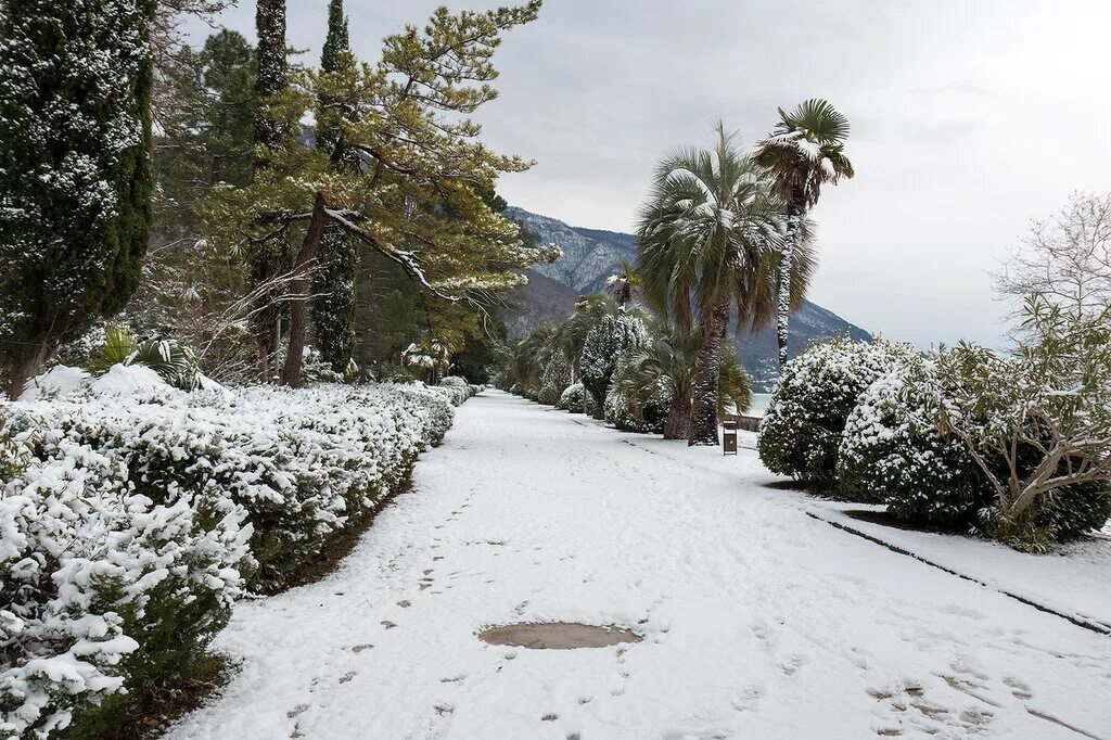 Новый афон абхазия в декабре. Новый афон абхазия 2022. Абхазия зима гагра. Что делать в абхазии зимой. Что делать в абхазии зимой.